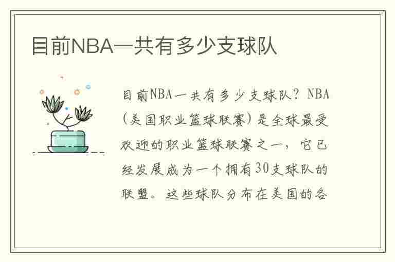 目前NBA一共有多少支球队